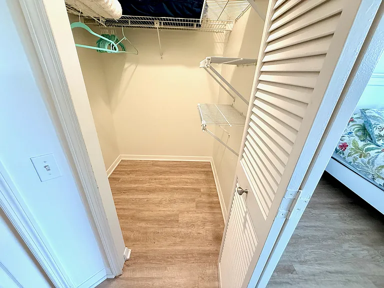 Primary Closet 1.
