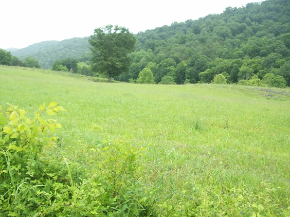 0 Cantwell Valley Rd, Sneedville, TN 37869