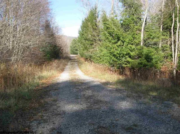 49 Mountainview Dr, Davis, WV 26260
