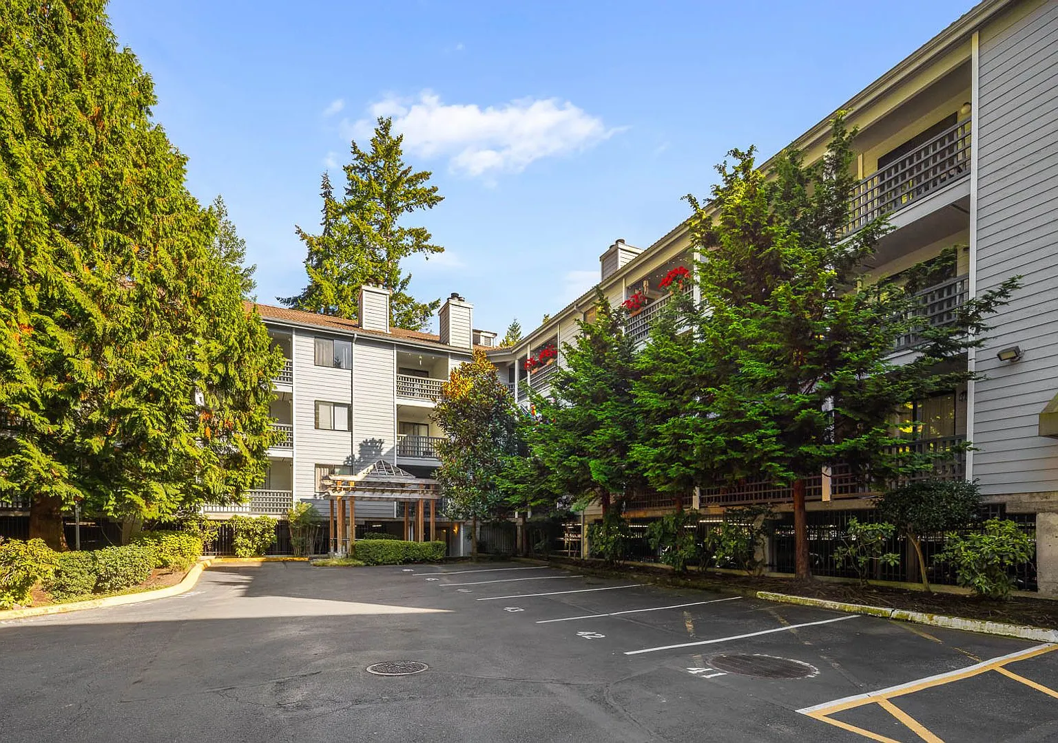Charming, Updated 1-Bedroom Condo in Prime Location Near Light Rail — Photo 1