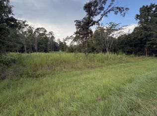 LOT 60 Lake Carroll Dr Lot 60, Donalsonville, GA 39845