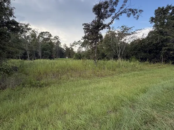 LOT 60 Lake Carroll Dr Lot 60, Donalsonville, GA 39845