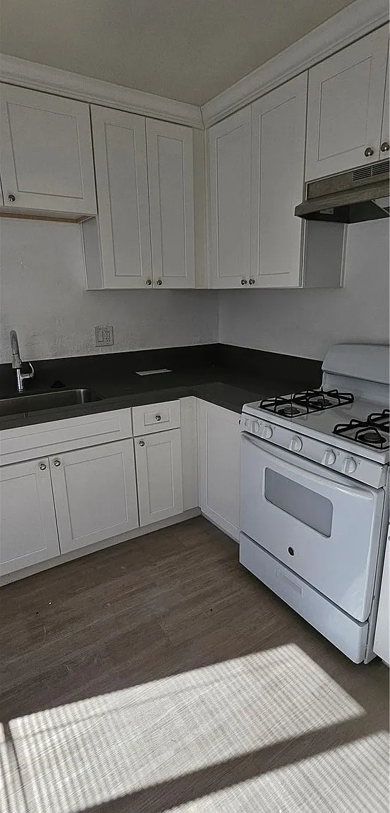 1 bed, 600 sqft, $1,900 — Photo 4