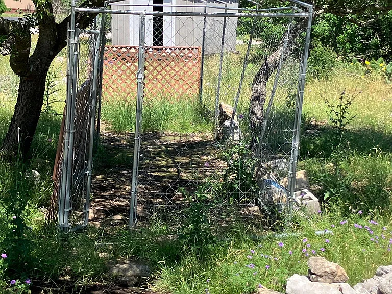 Shaded Dog Run