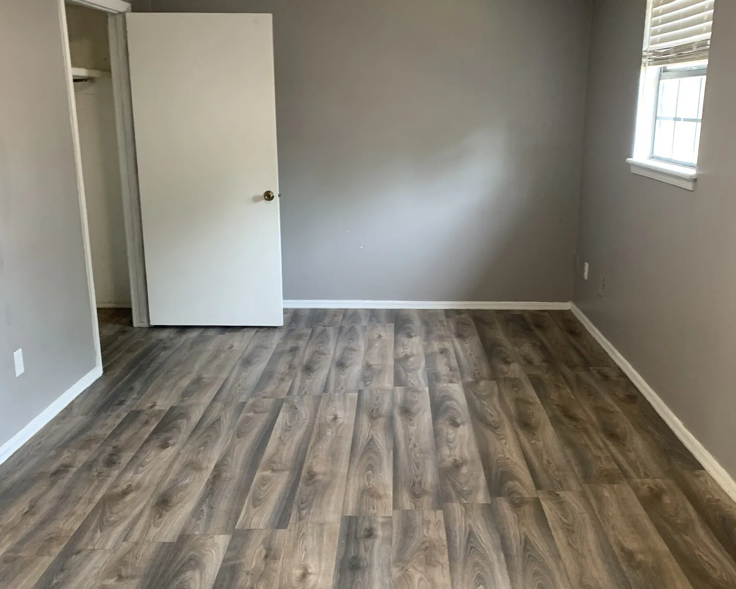 1 bed, 900 sqft, $800 — Photo 4
