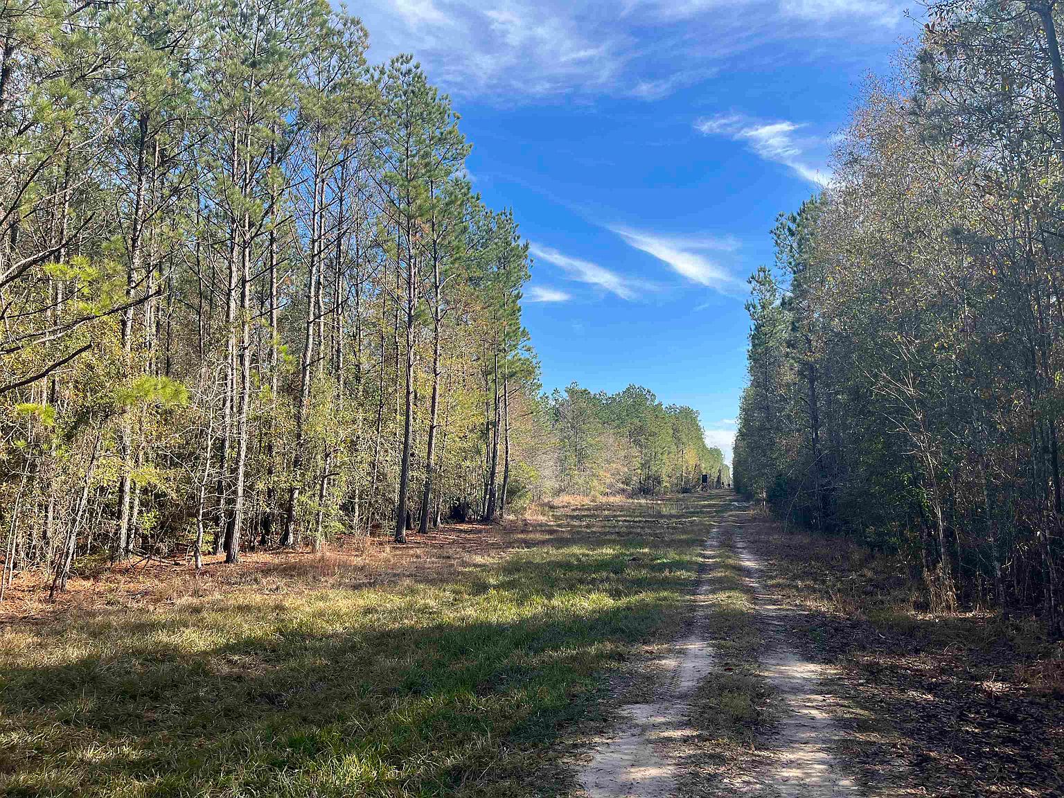 Brad Rd, Saratoga, TX 77585 MLS 244696 Zillow