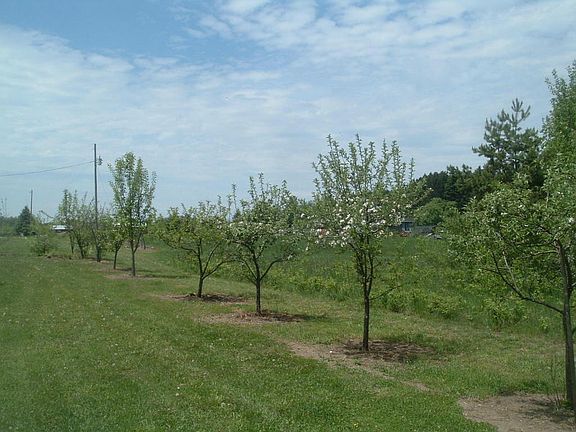 4th image of 6326 County Road 457