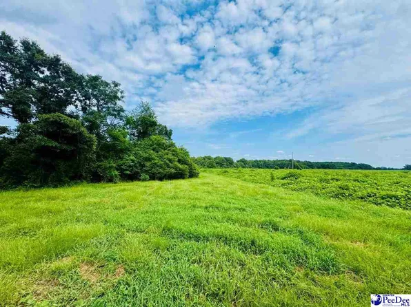 Skeeter Ln, Mc Coll, SC 29570