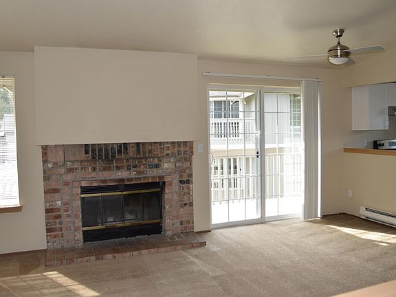 Wood Burning Fireplace