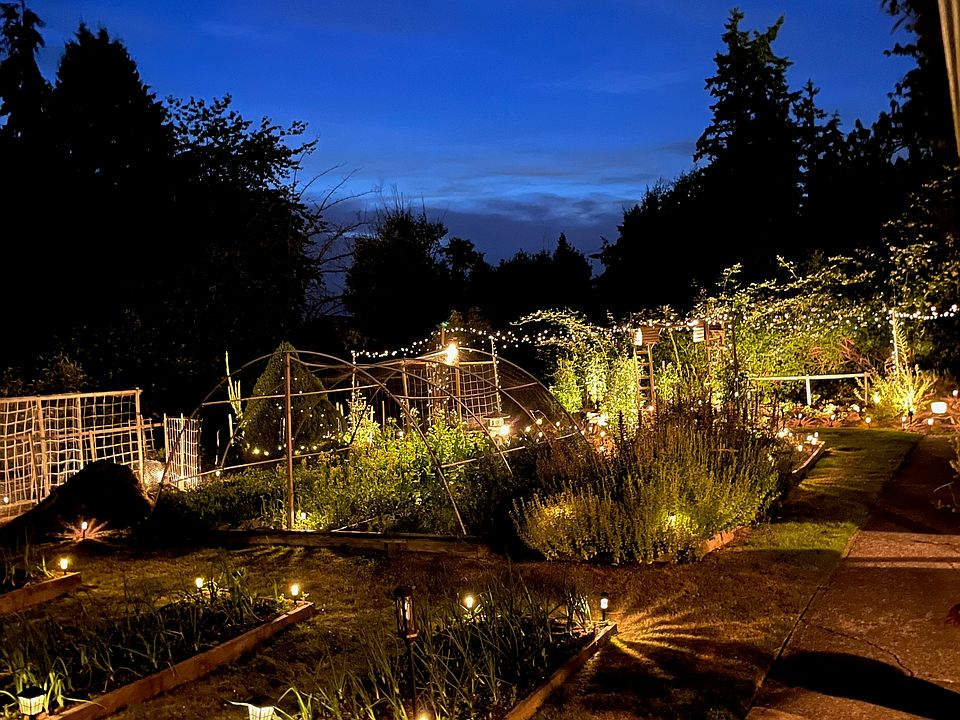 Nighttime View