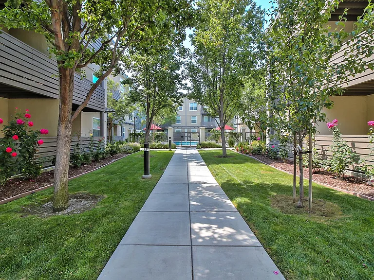 Buckingham Place Apartments — Photo 14