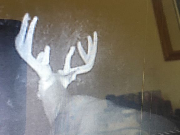 3rd image of 1600 Union Ave