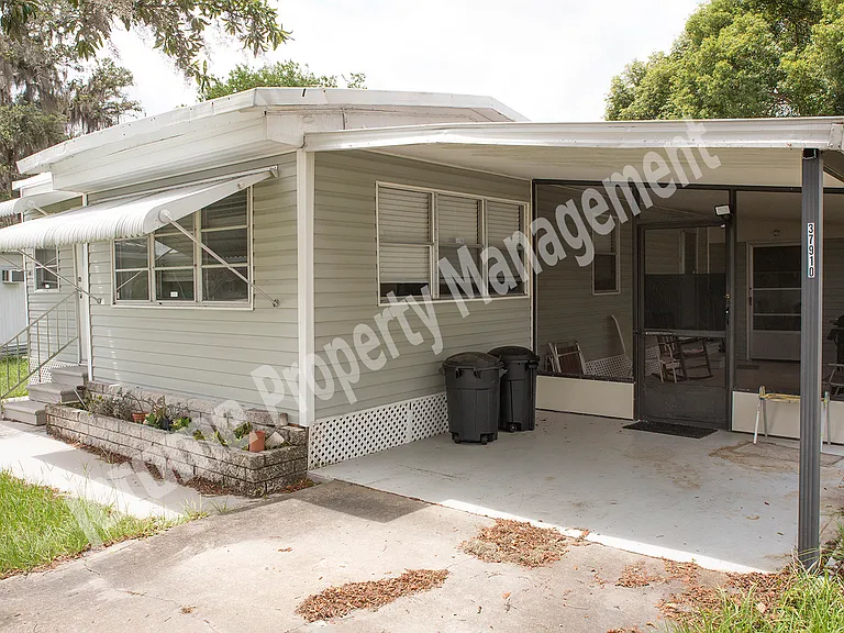 37910 Sago Palm Dr — Photo 3