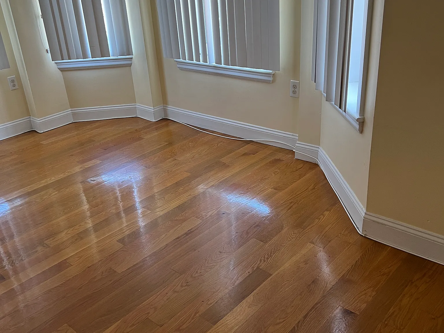2 bed, 535 sqft, $3,700 — Photo 4