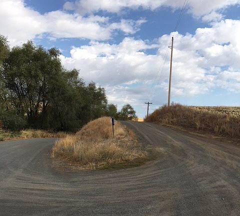View from main road up lane