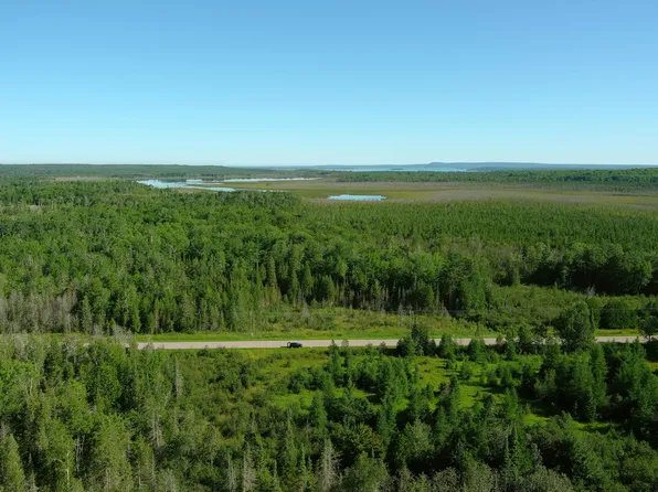 E North Caribou Lake Rd, De Tour Village, MI 49725