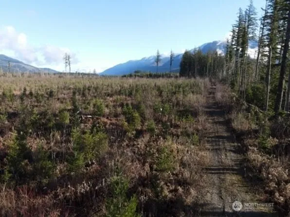 9523 Heady Road, Sumas, WA 98295