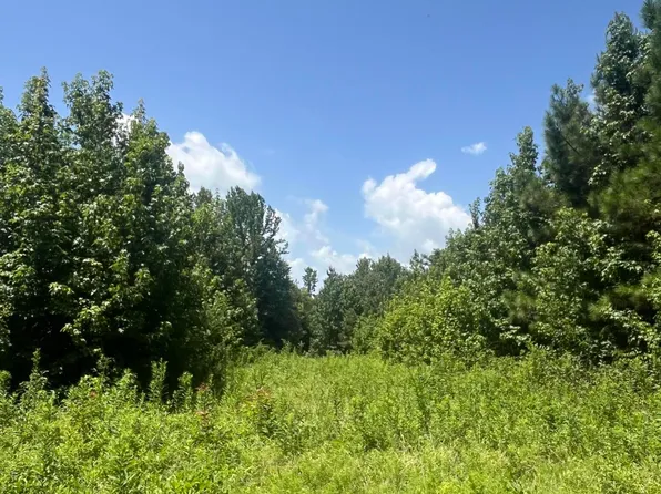 Burton Rd, Senatobia, MS 38668