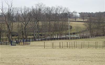 4th image of 951 N Yarnallton Pike