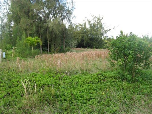 3rd image of 12-106 Oliana Dr Lot 70