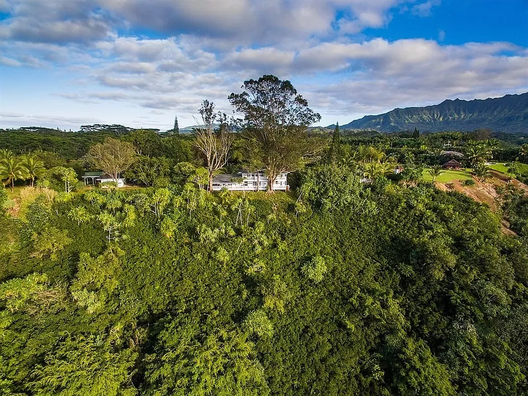 Building Photo - 5150 Kahiliholo Rd
