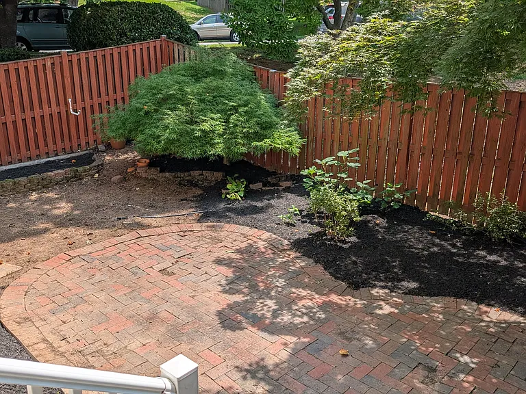 3011 Winter Pine Ct — Photo 14