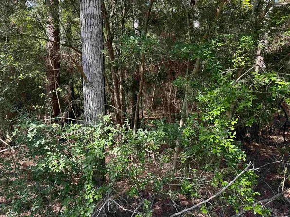 291 Aztec Ln, Brookeland, TX 75931