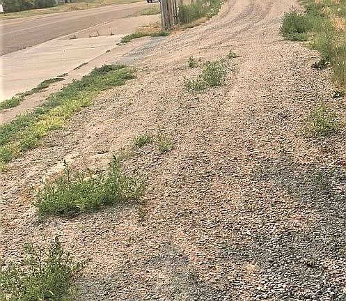 Driveway is on Pancheri Dr.