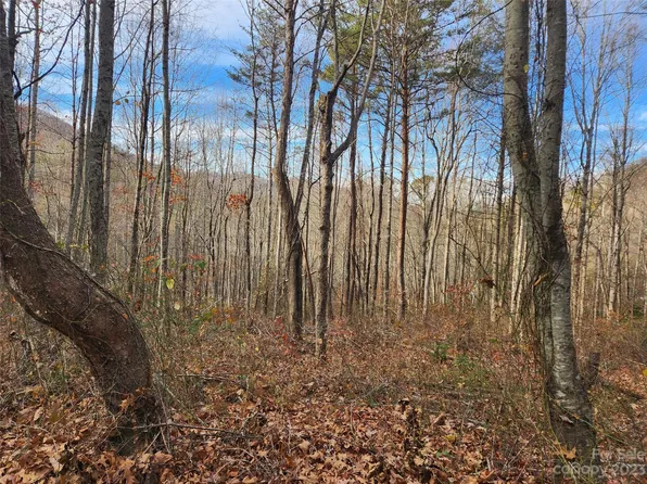 0 Wagon Wheel Way, Canton, NC 28716