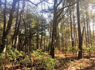 225 Bailey Rd, Seabrook, SC 29940