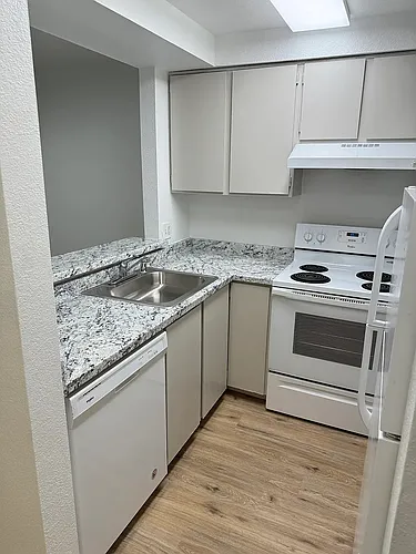 Floor plan One Bedroom 307