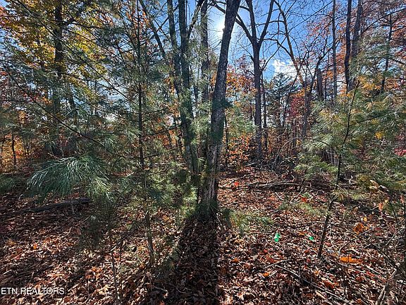 4th image of Scenic Woods Way