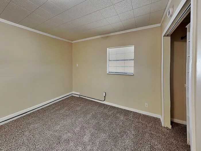 1517 Camelia Dr — Photo 19
