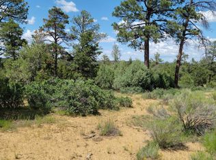 230 Ranch Rd, Pie Town, NM 87827