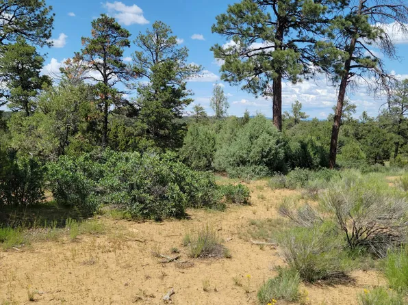 230 Ranch Rd, Pie Town, NM 87827