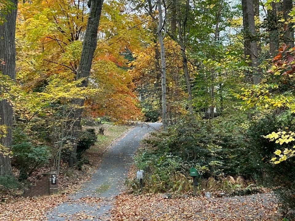 Driveway in Fall