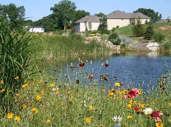 3rd image of Ontario Ln