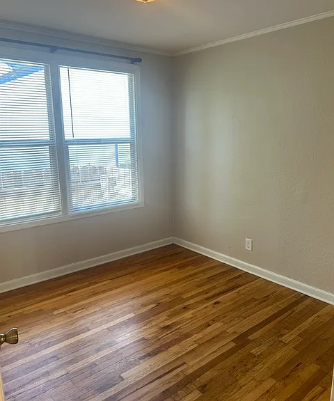 2844 Ione St — Photo 12