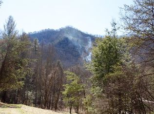 1171 Little East Fork Rd, Canton, NC 28716