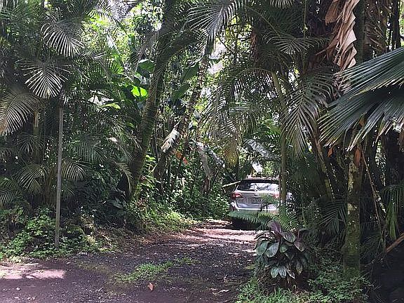 Driveway/ partial