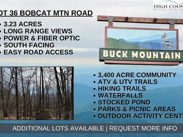 Lot 36 Bobcat Mountain Road, Purlear, NC 28665