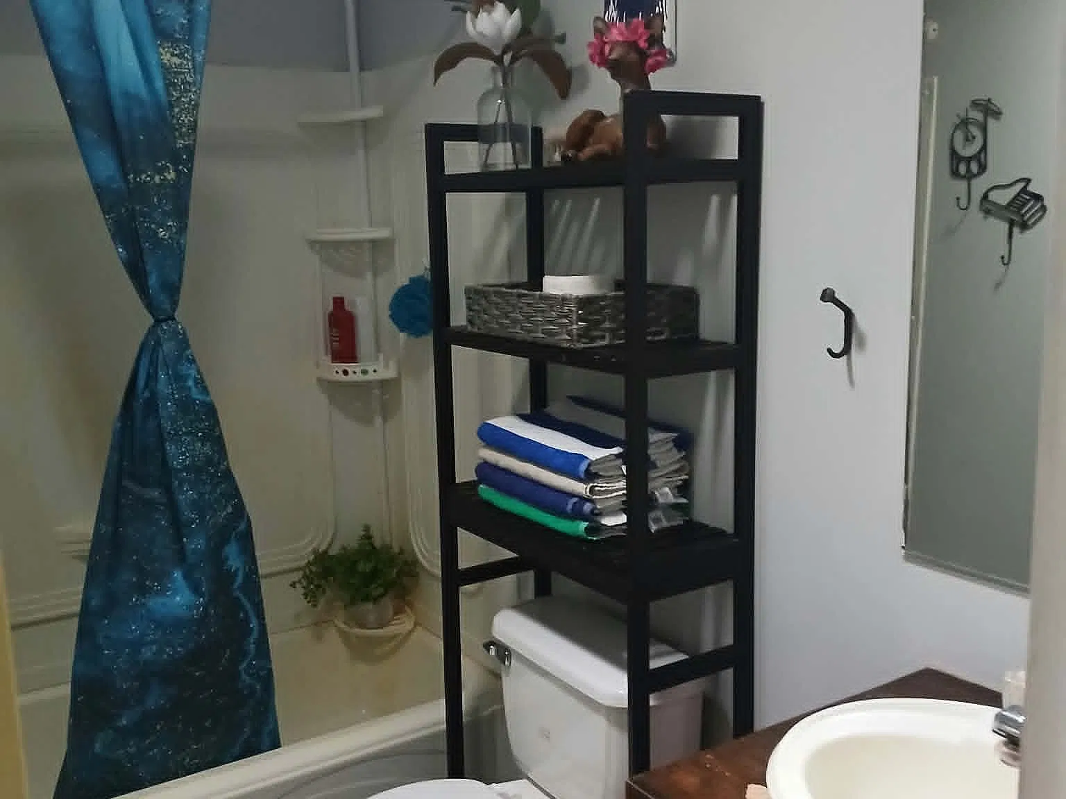 3 bed, 1400 sqft, $2,500 — Photo 3
