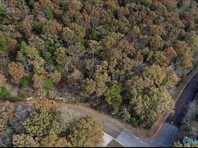 14096 Stonefield Trl SE, Huntsville, AL, 35803