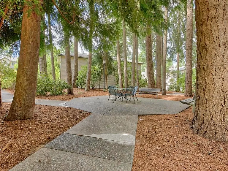 Arbor Square Apartments — Photo 22