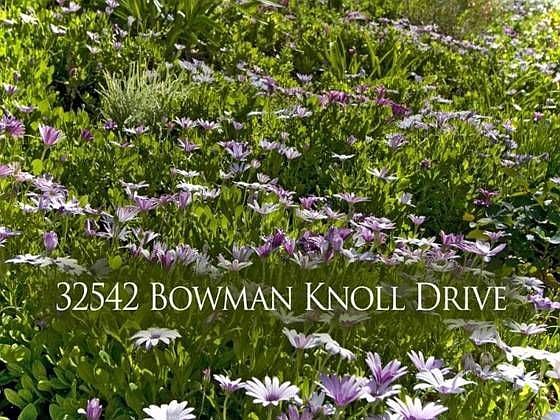 1st image of 32542 Bowman Knoll Dr