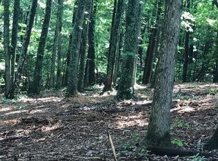 24 Piney Knob Dr, Spring City, TN 37381