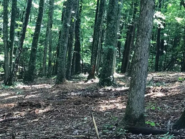 24 Piney Knob Dr, Spring City, TN 37381