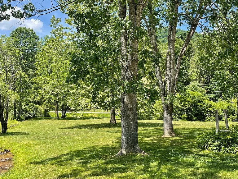 45 Brown Branch Rd — Photo 16