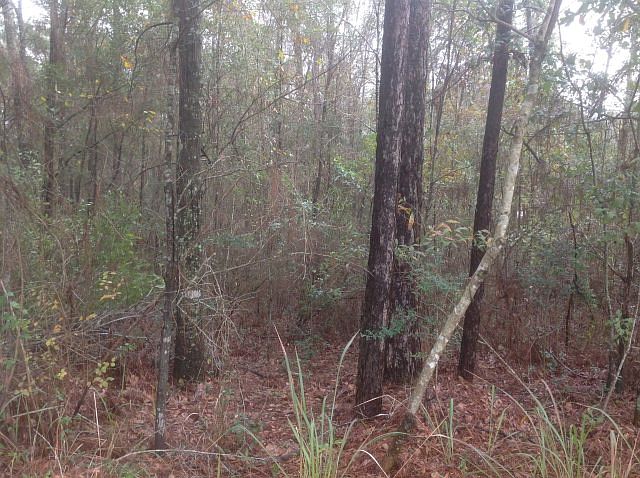 2nd image of 1758 Princeton Woods Dr E