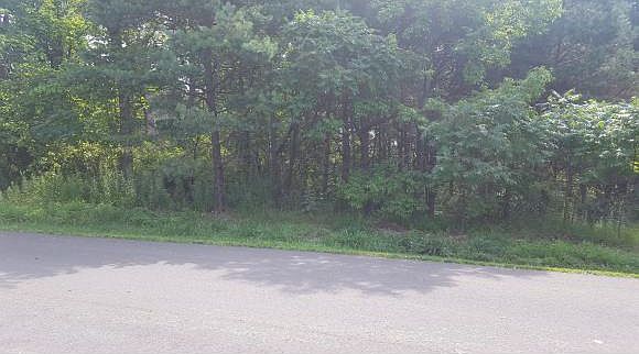 1st image of 164 Scotch Pine Ln